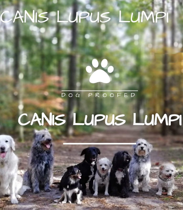 Canis Lupus Lumpi